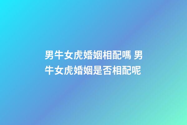 男牛女虎婚姻相配嗎 男牛女虎婚姻是否相配呢-第1張-觀點-玄機派